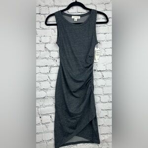NWT Treasure and Bond Cotsik Dress Gray